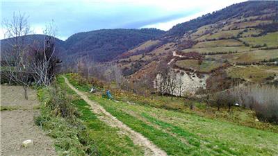 Gallery_1394